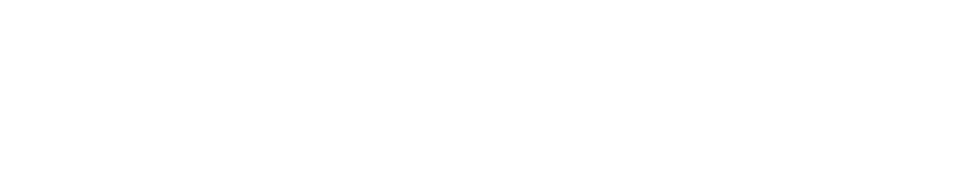 Palo Alto Networks